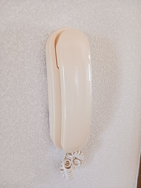 ブルーベリーハウスＢ その他6