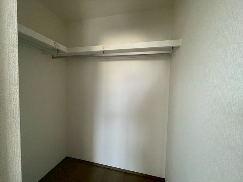 ルピナス その他1