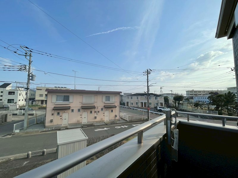 ルピナス その他4