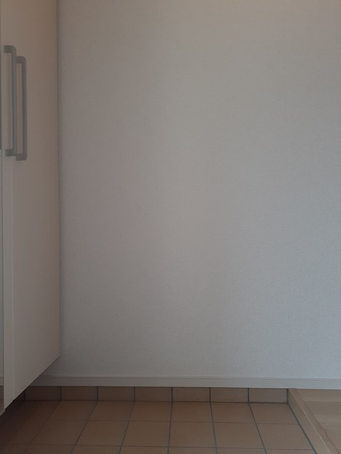 メゾンミモザ 玄関