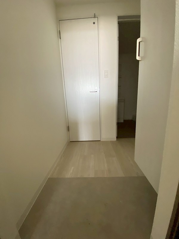 （仮称）ジーメゾン平塚幸町 玄関