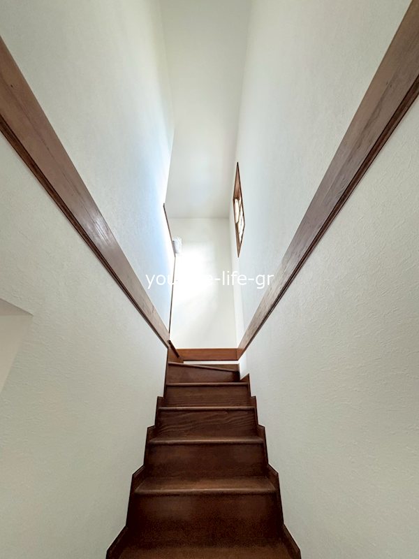 ARIEL ENA その他9