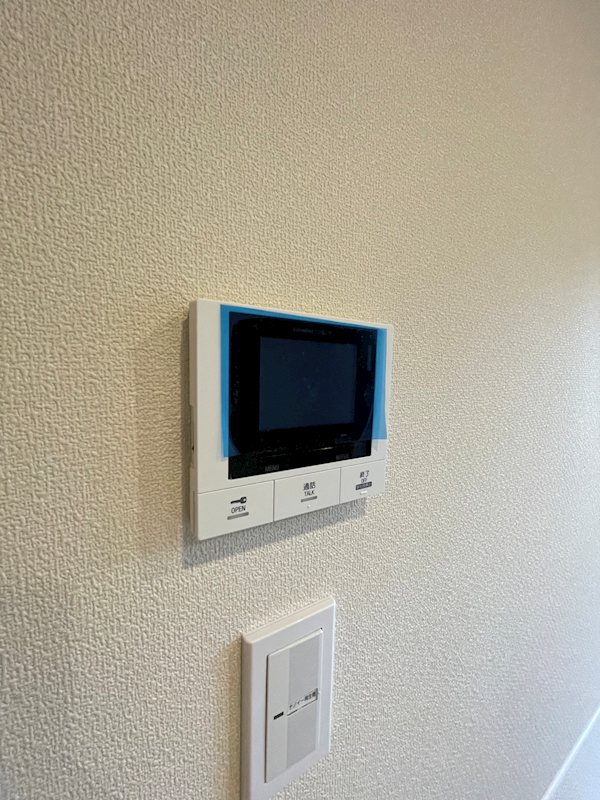 ＢＬＯＳＳＯＭ　ＭＡＩＳＯＮ その他4