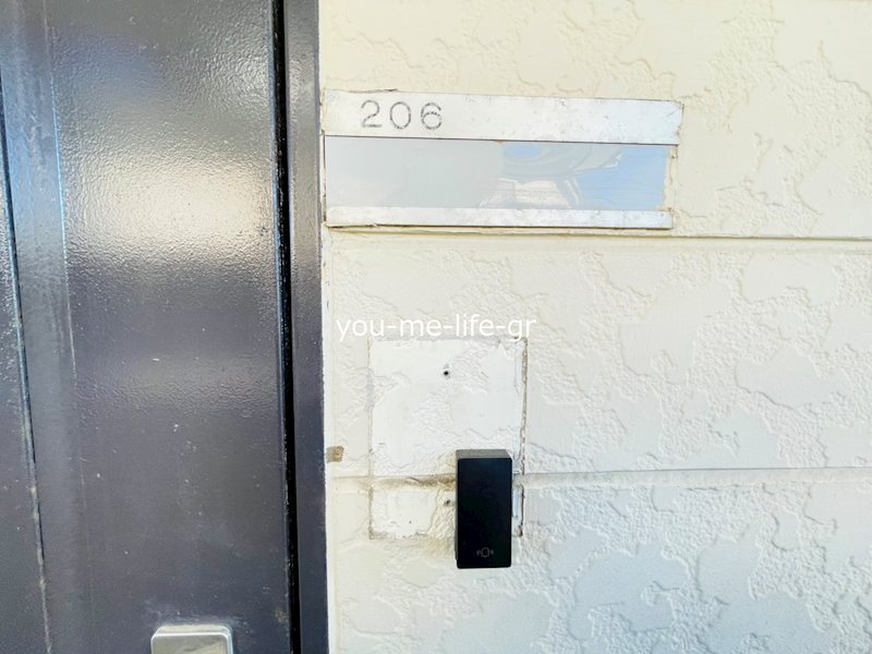 アンプルール湘南平塚 その他3