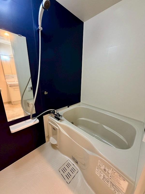 カサグランデ湘南 風呂画像