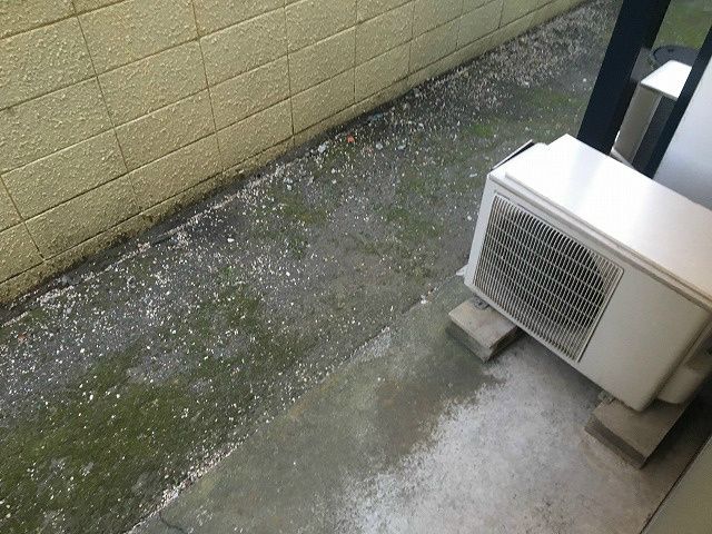 サンパレス桃浜 その他10