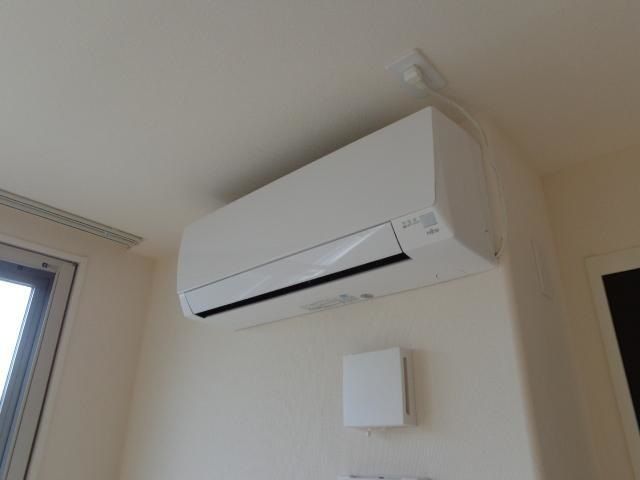 あざらし その他11