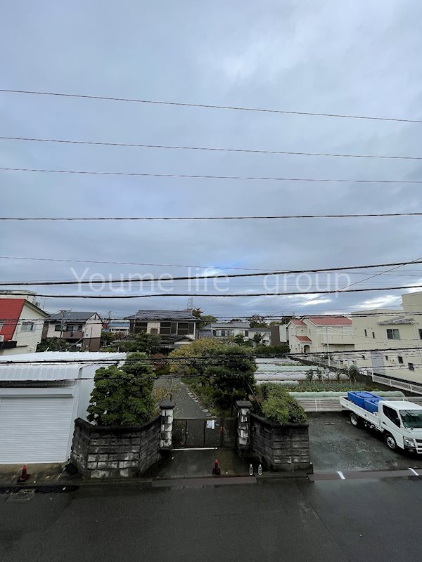 コート・カトレア その他3