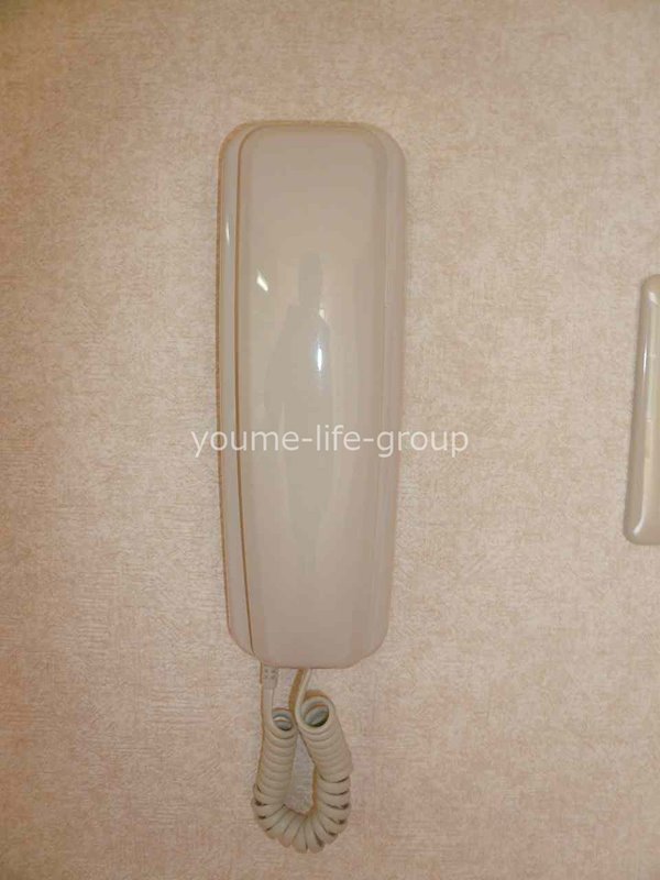 ドエル杉山 その他4