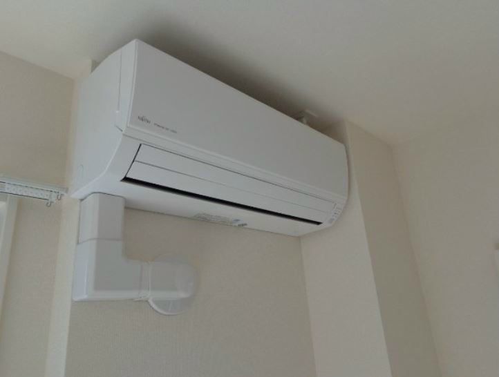 アオイリオーサ  その他3