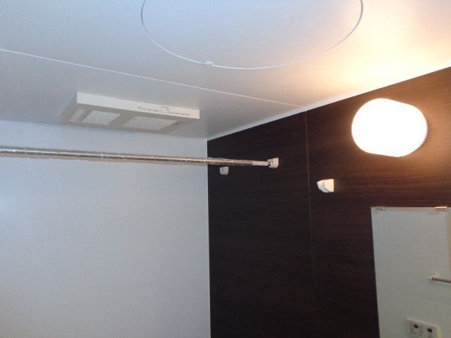 アオイリオーサ  その他17