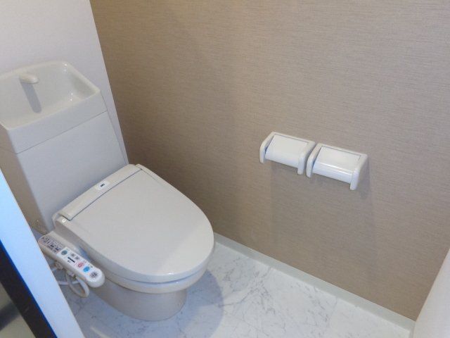 アオイリオーサ  その他18