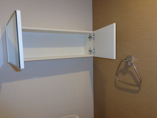 アオイリオーサ  その他19