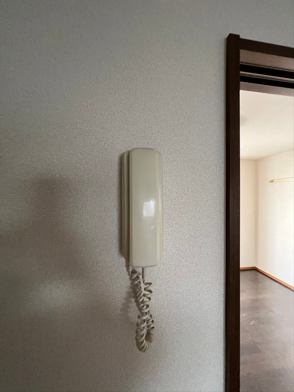 プレミール・オオスミ その他6