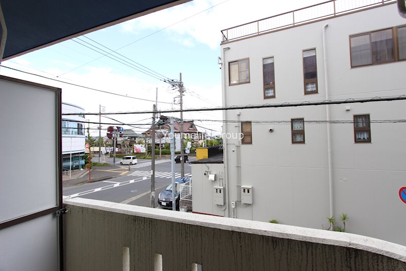 フリージア その他13