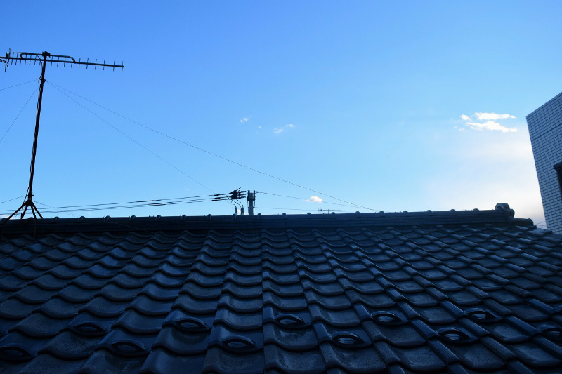 フレンズ  その他5