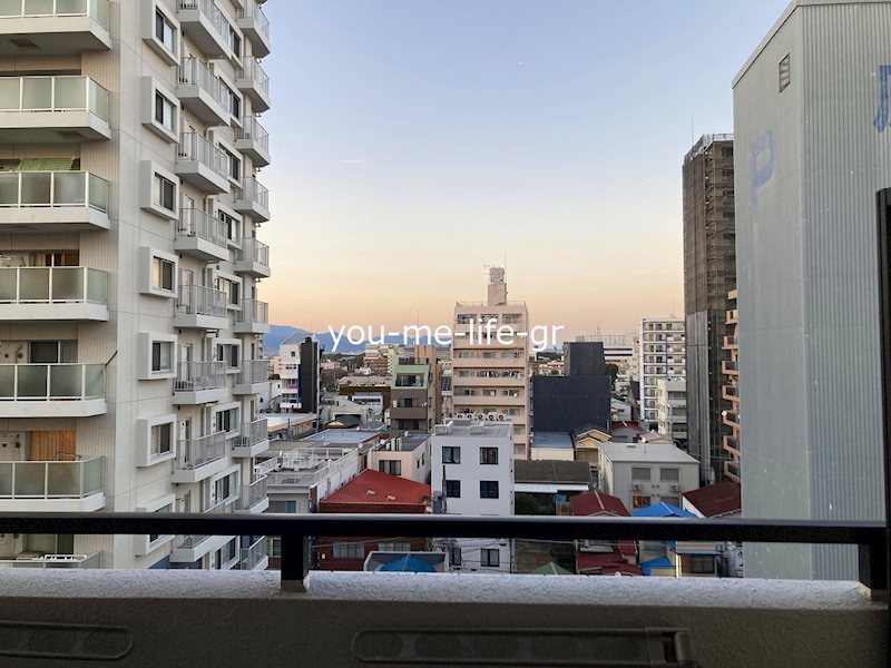 ライオンズプラザ平塚 その他4