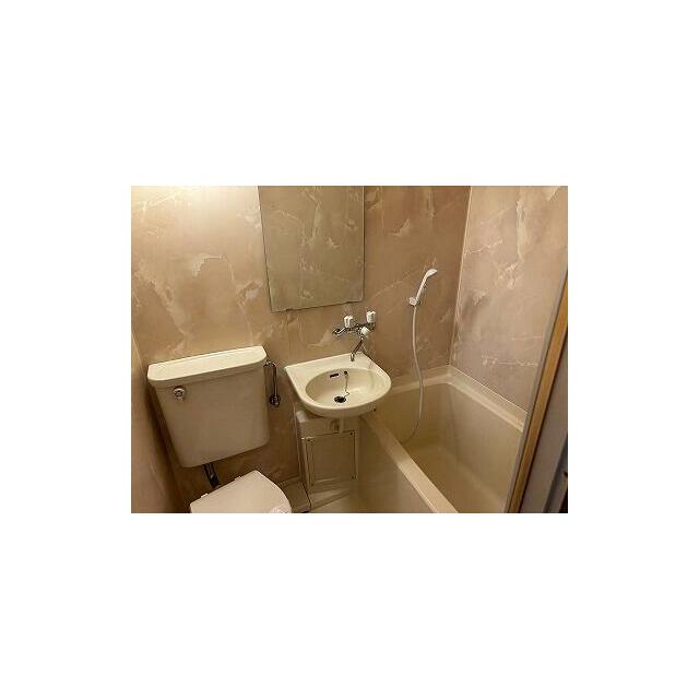 ライオンズプラザ平塚宝町 その他3