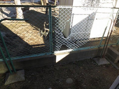 宮崎ハイツ ベランダ