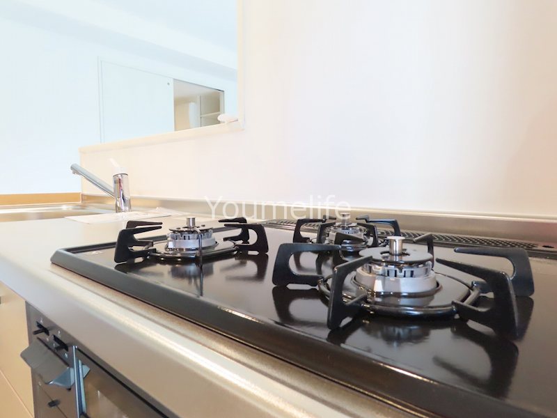 ル・マレデシーニュ その他11