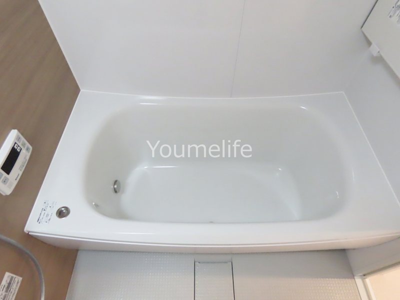 ル・マレデシーニュ その他20