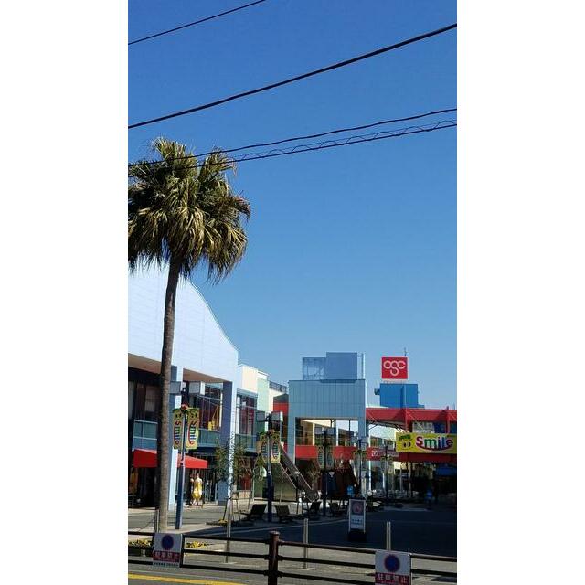 幸町フラット 周辺画像3