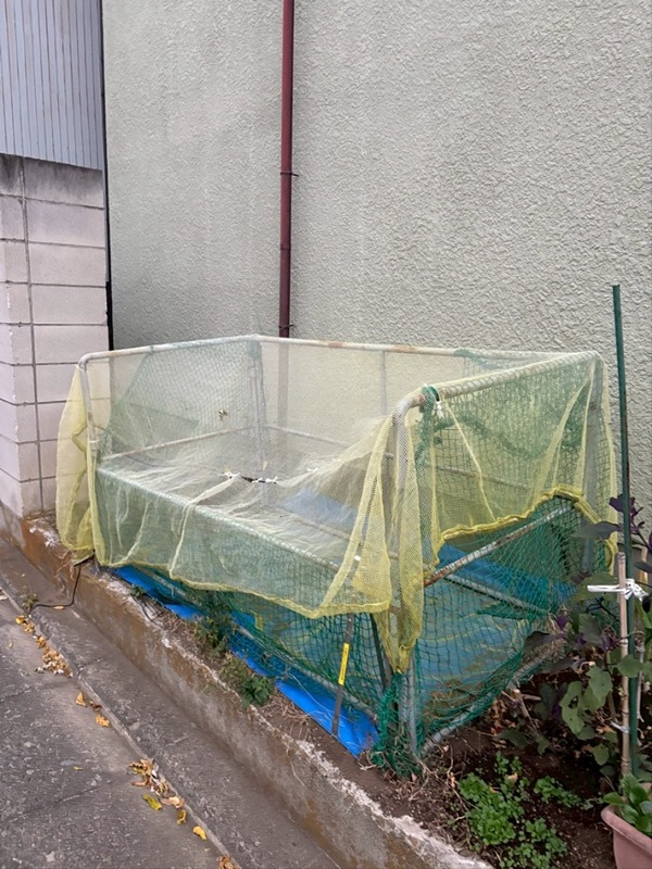 グリーンハイム湘南平塚－Ａ その他外観2