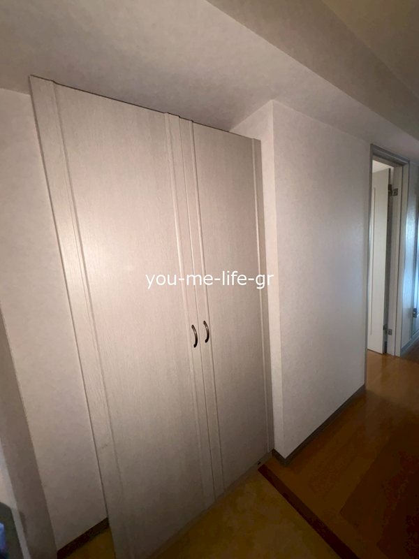 フィールドサン その他8