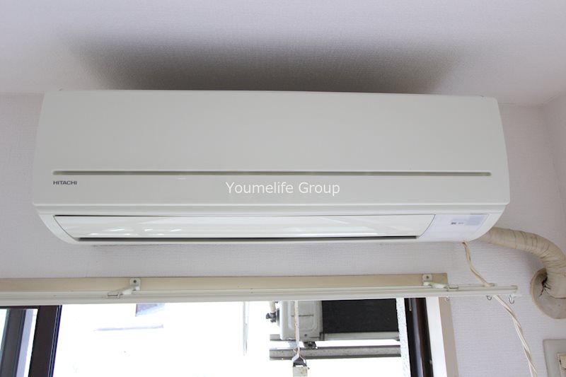 フリージア その他2