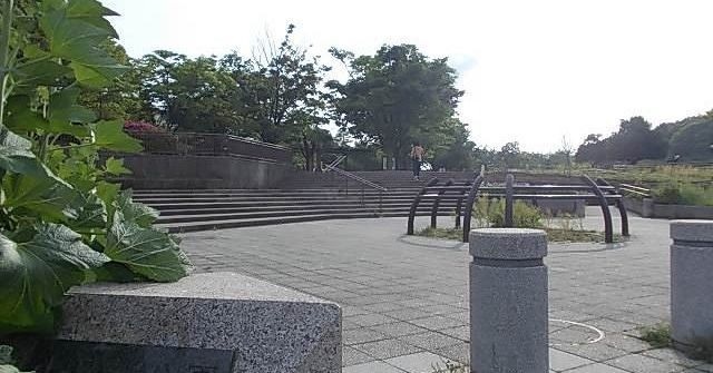 パークアベニュー その他外観3