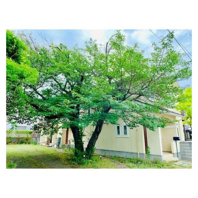 茅ヶ崎東海岸南３丁目テラスハウス その他7