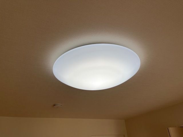 マルベリー・リーブス その他11