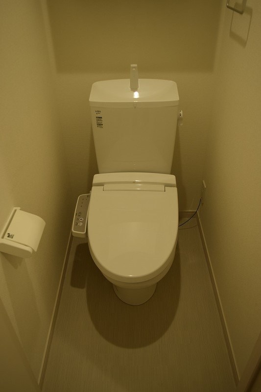 リブリ・テラ その他3