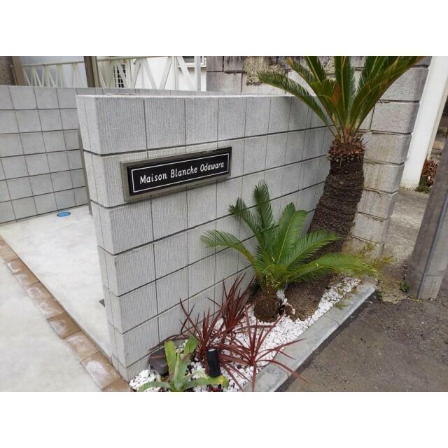 メゾンブランシュオダワラ その他9