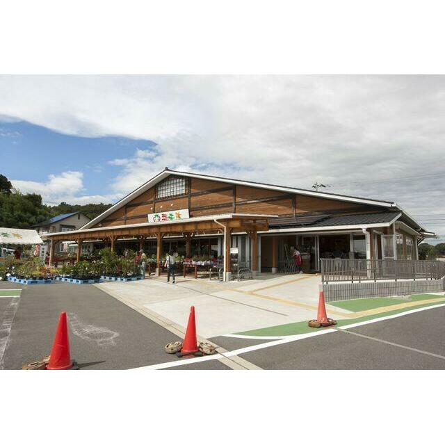 セレーノＫＩＲＩＫＵＢＯ その他外観6