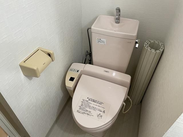 シュクランス その他1