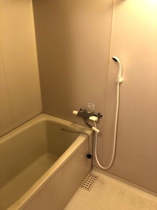 リエス愛甲石田 風呂画像