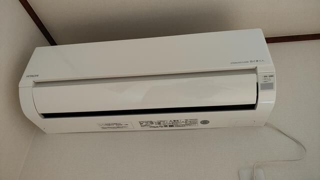 リベラルさくら その他1