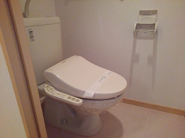 シェル　ブルー その他4