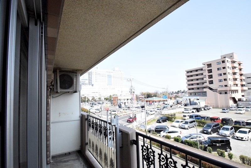 グレース吉川 その他6