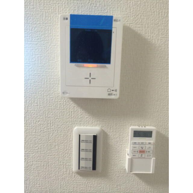アムール桜 その他3