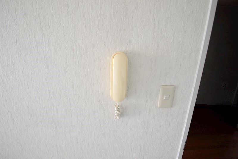 グレース吉川 その他4