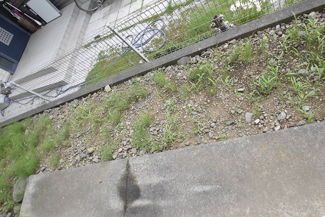 ベルプラザ ベランダ