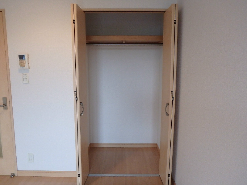 アンモードイグサ1 その他3