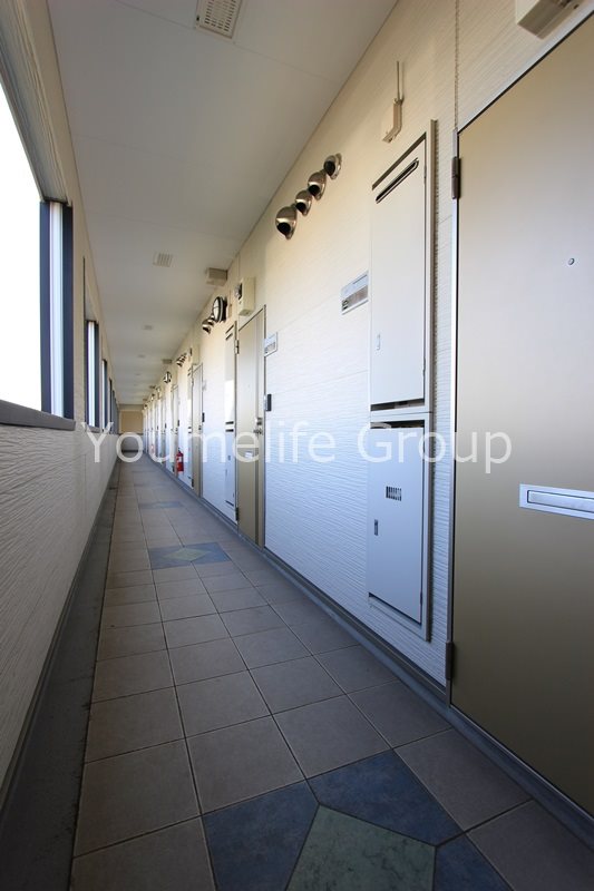 アンモードイグサ1 その他外観4