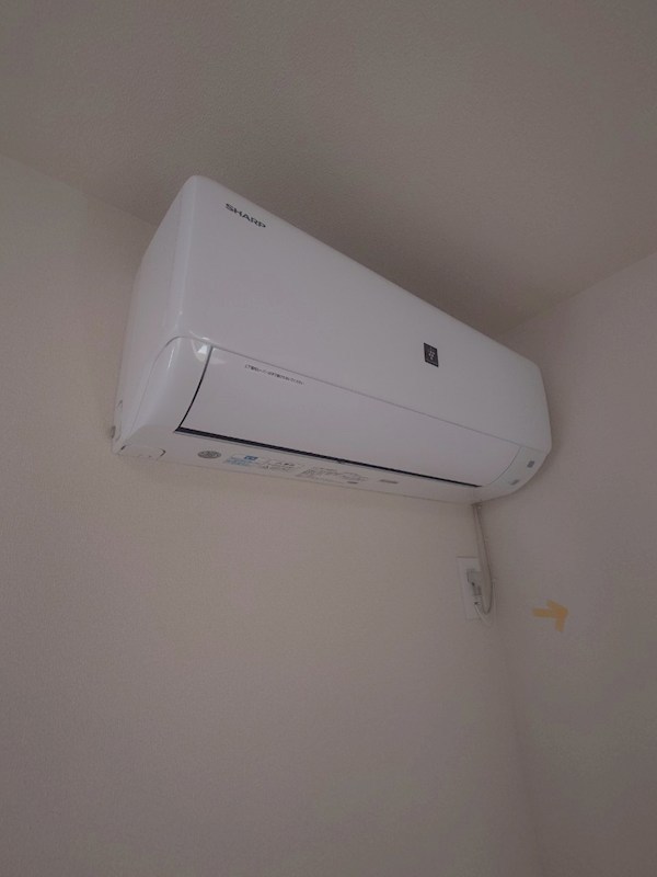 TURBAN SHELL その他5