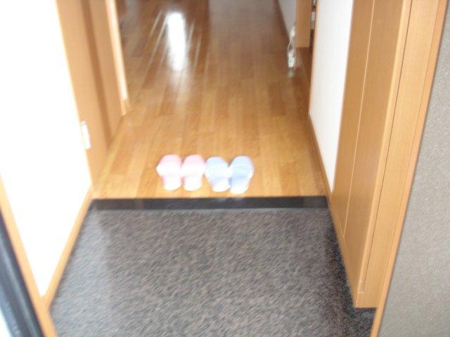 グランモンターニャ 玄関