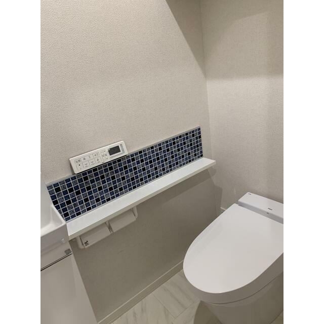 ロアジス その他2