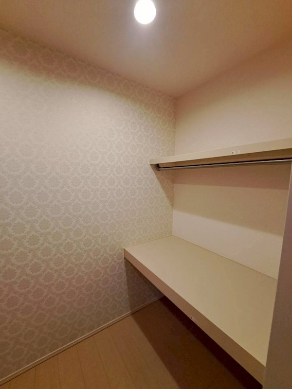 エバーグリーン その他3