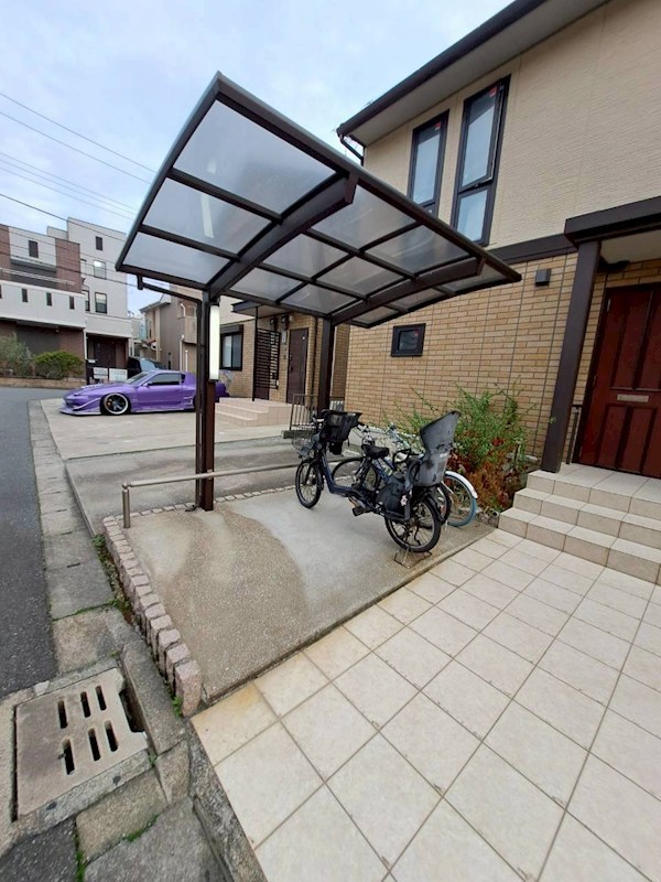 エバーグリーン その他5